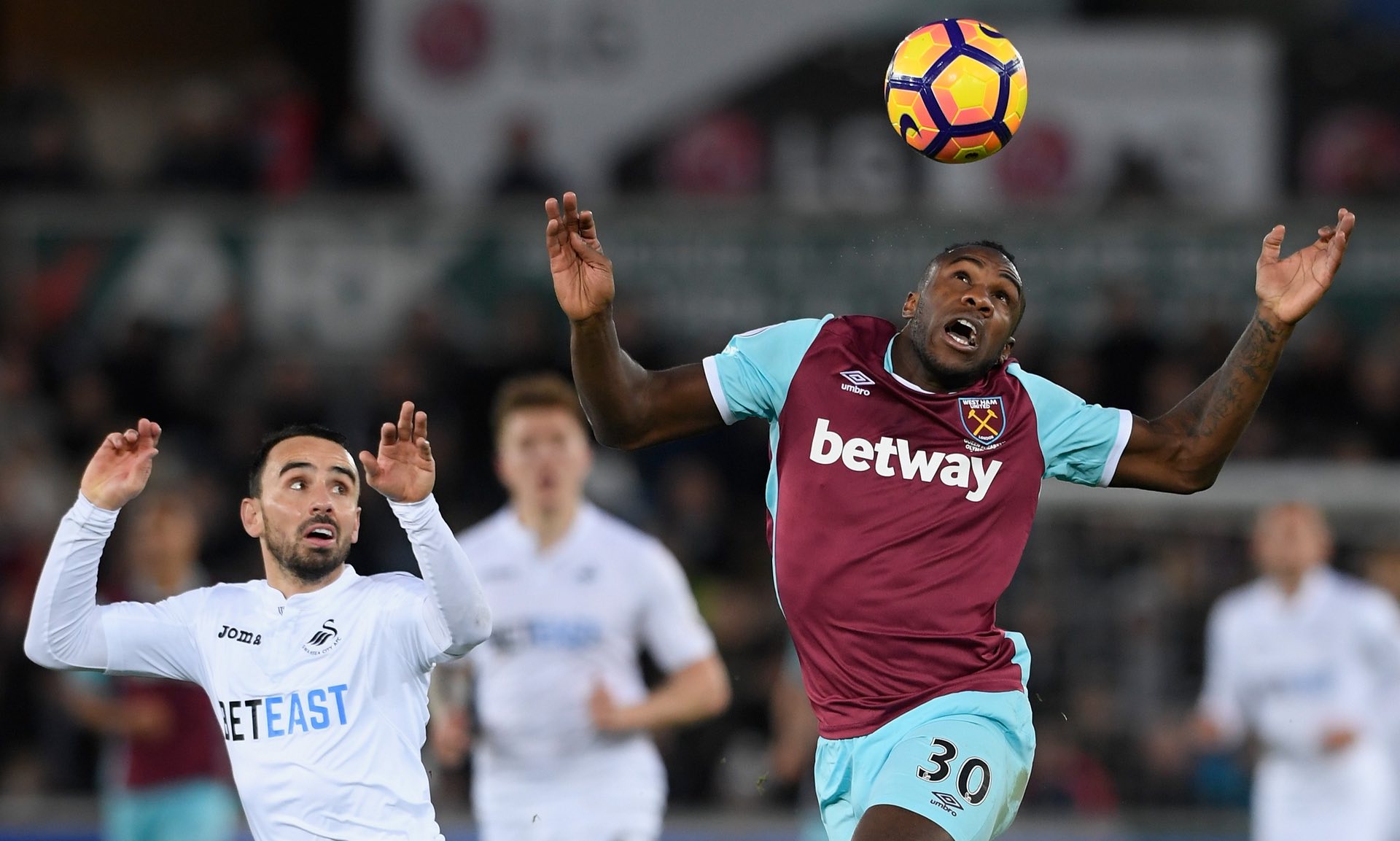 在积极寻求 在积极寻求